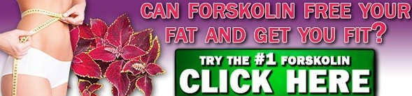 Slimlook Forskolin - buy